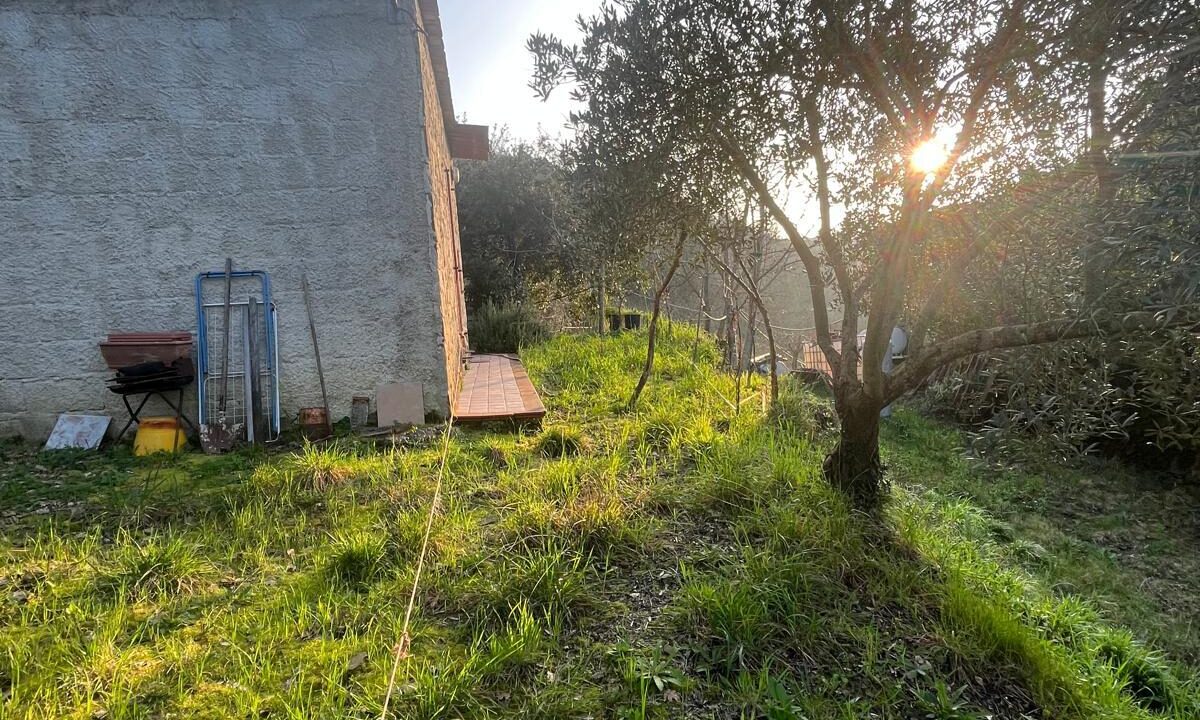 WhatsApp Image 2026-02-28 at 17.12.36 (1)