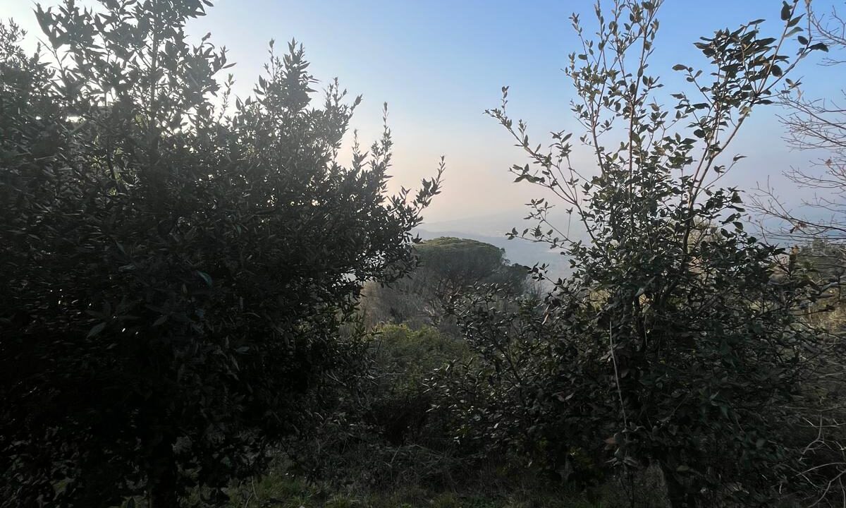 WhatsApp Image 2026-02-28 at 17.12.36