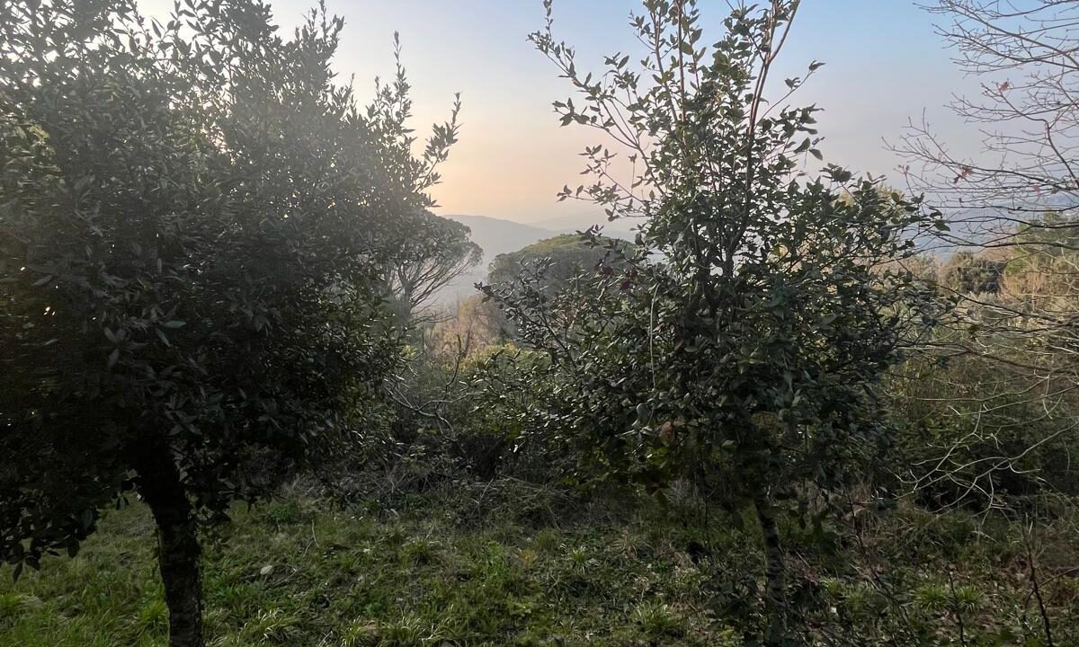 WhatsApp Image 2026-02-28 at 17.12.36 (2)