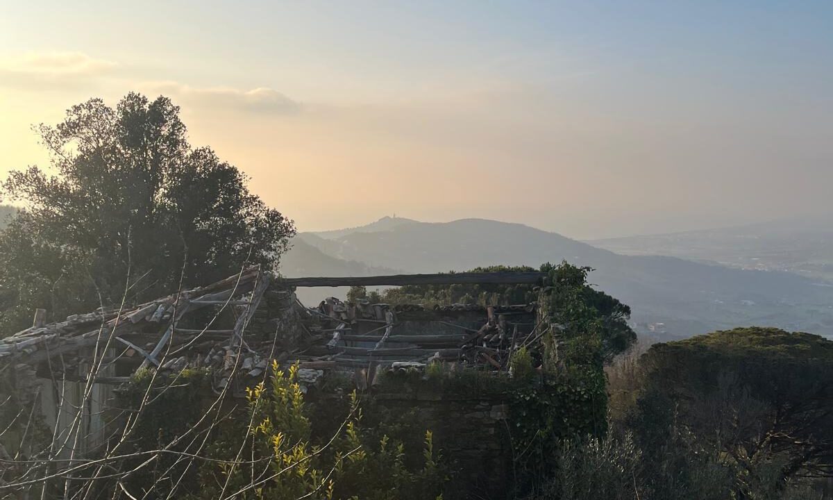 WhatsApp Image 2026-02-28 at 17.12.36 (4)