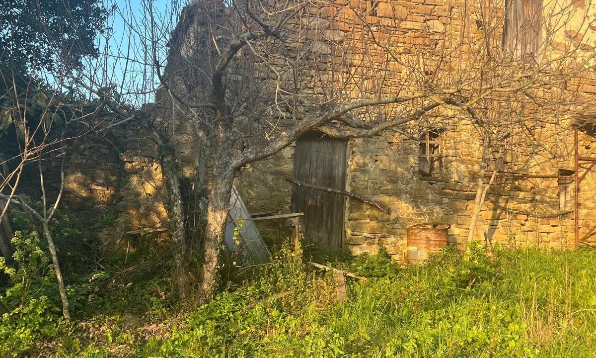 WhatsApp Image 2026-02-28 at 17.12.37 (2)