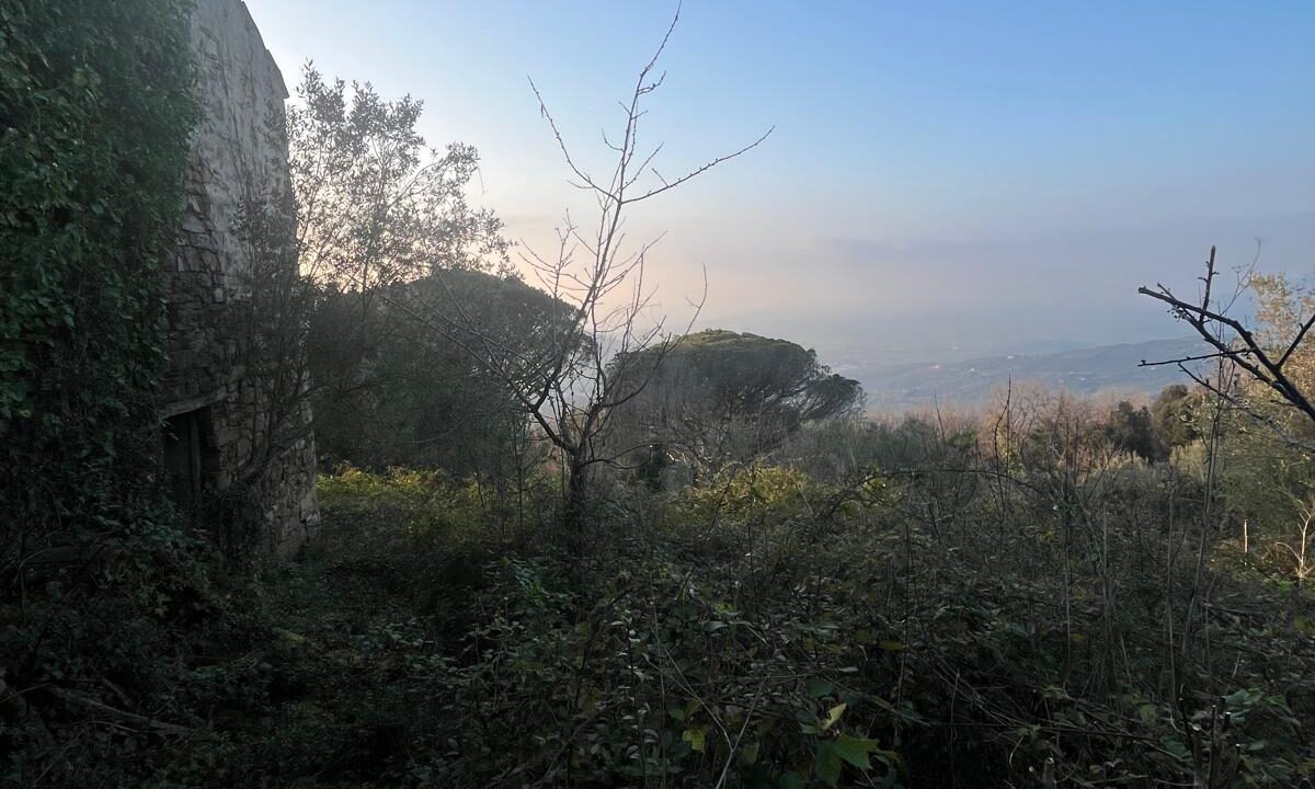 WhatsApp Image 2026-02-28 at 17.12.37 (4)