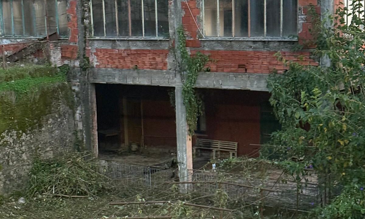 WhatsApp Image 2026-03-04 at 11.45.39