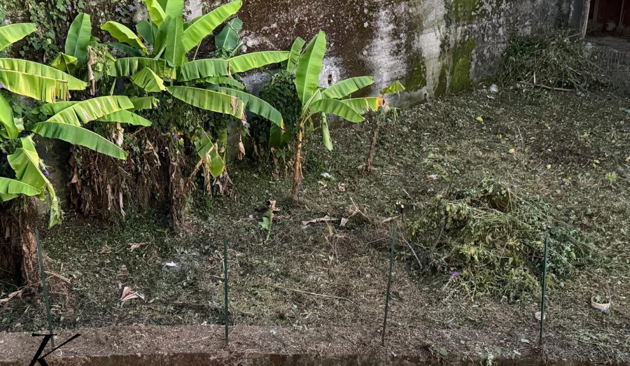 WhatsApp Image 2026-03-04 at 11.46.01