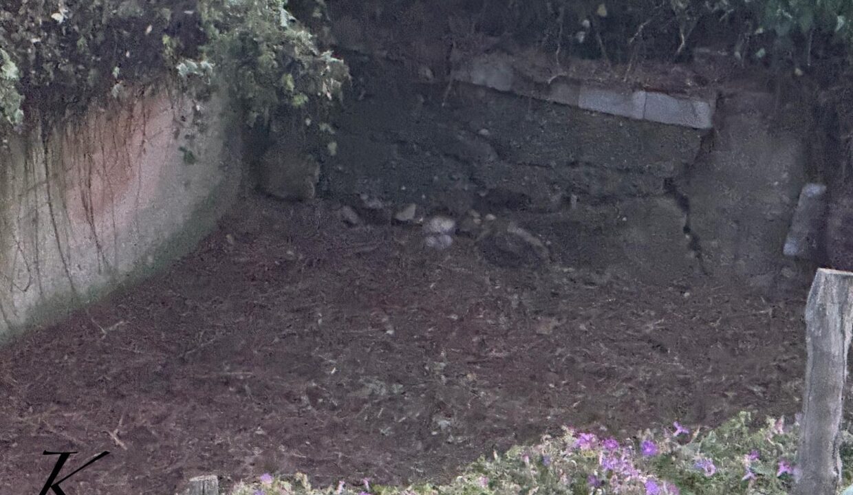 WhatsApp Image 2026-03-04 at 11.46.02 (1)