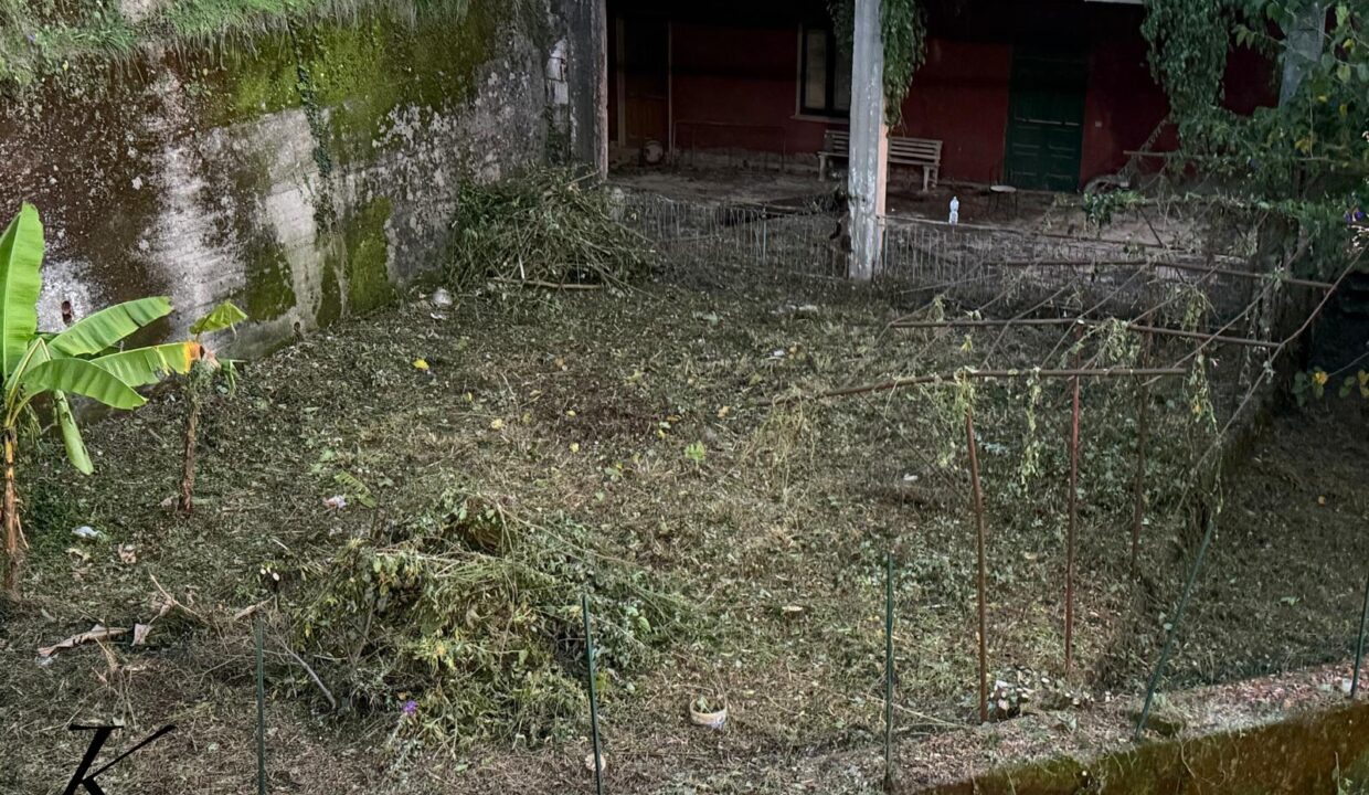 WhatsApp Image 2026-03-04 at 11.46.02