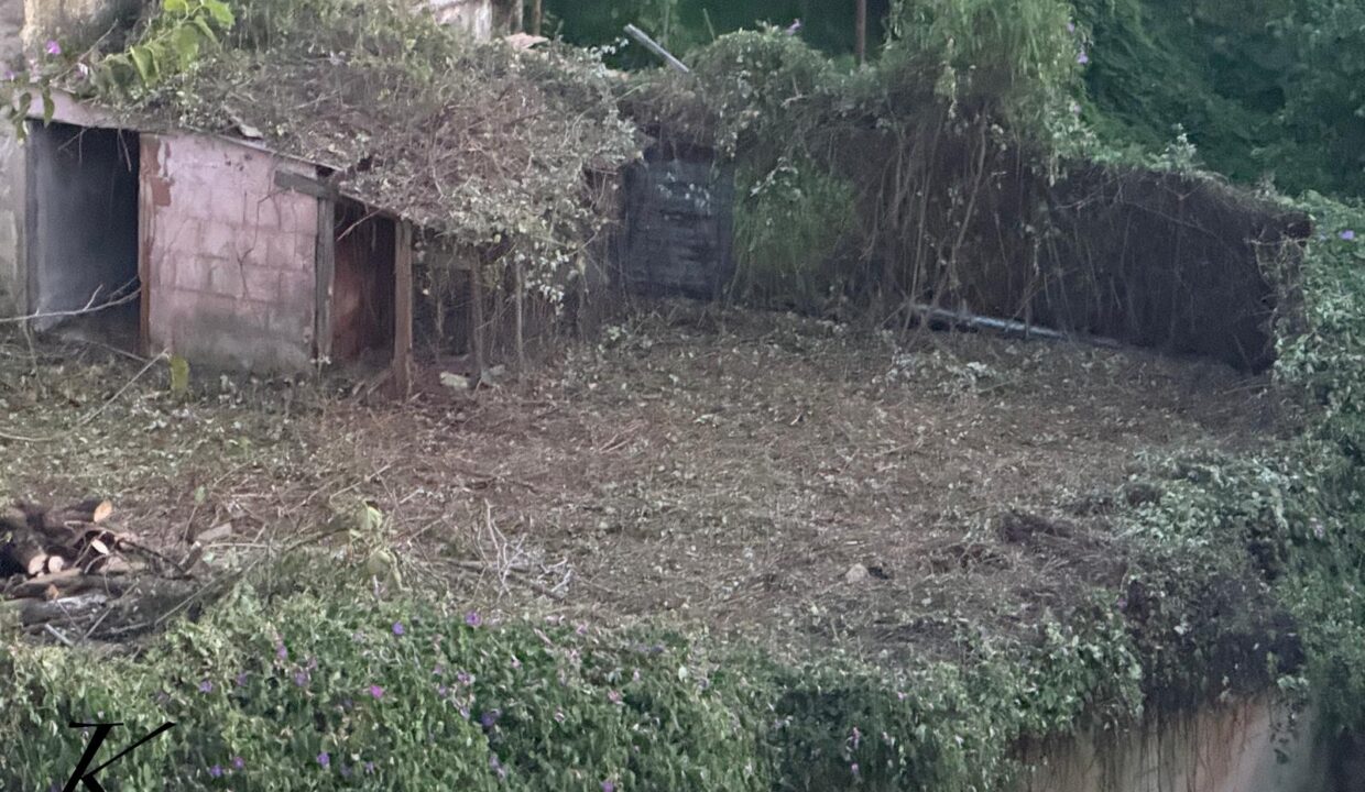 WhatsApp Image 2026-03-04 at 11.46.02 (2)