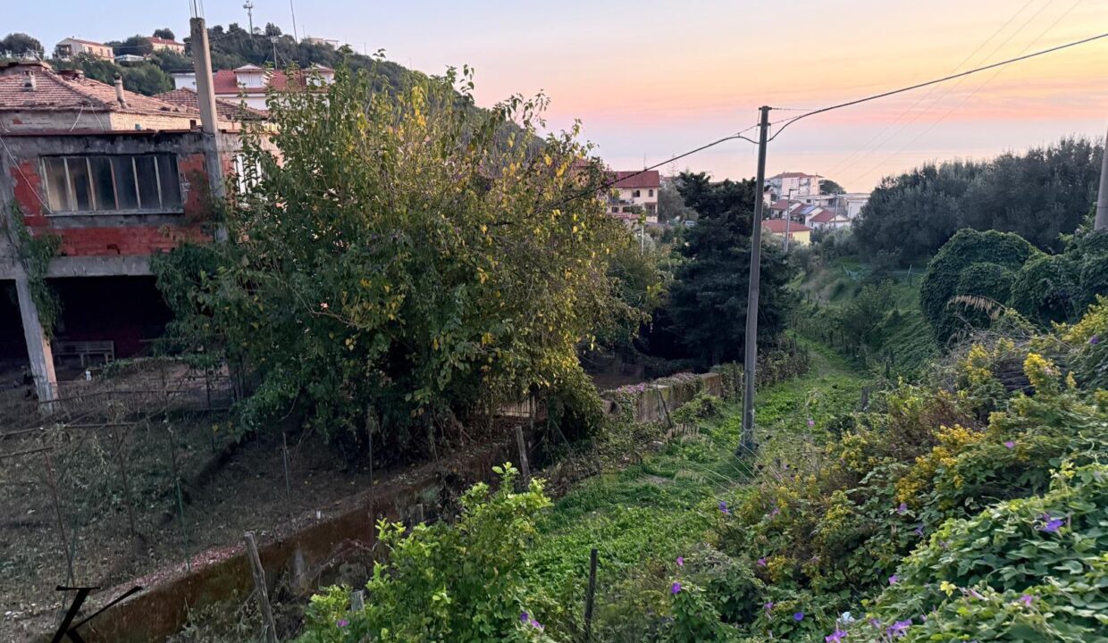 WhatsApp Image 2026-03-04 at 11.46.02 (3)