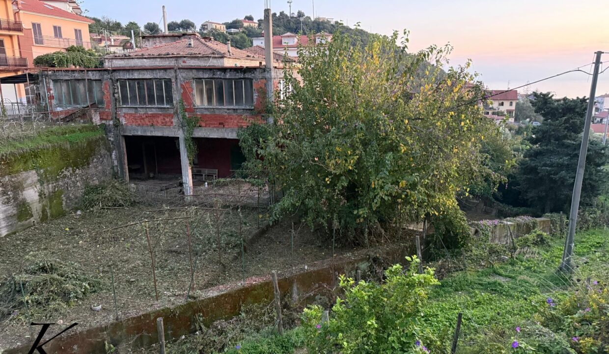 WhatsApp Image 2026-03-04 at 11.46.02 (4)