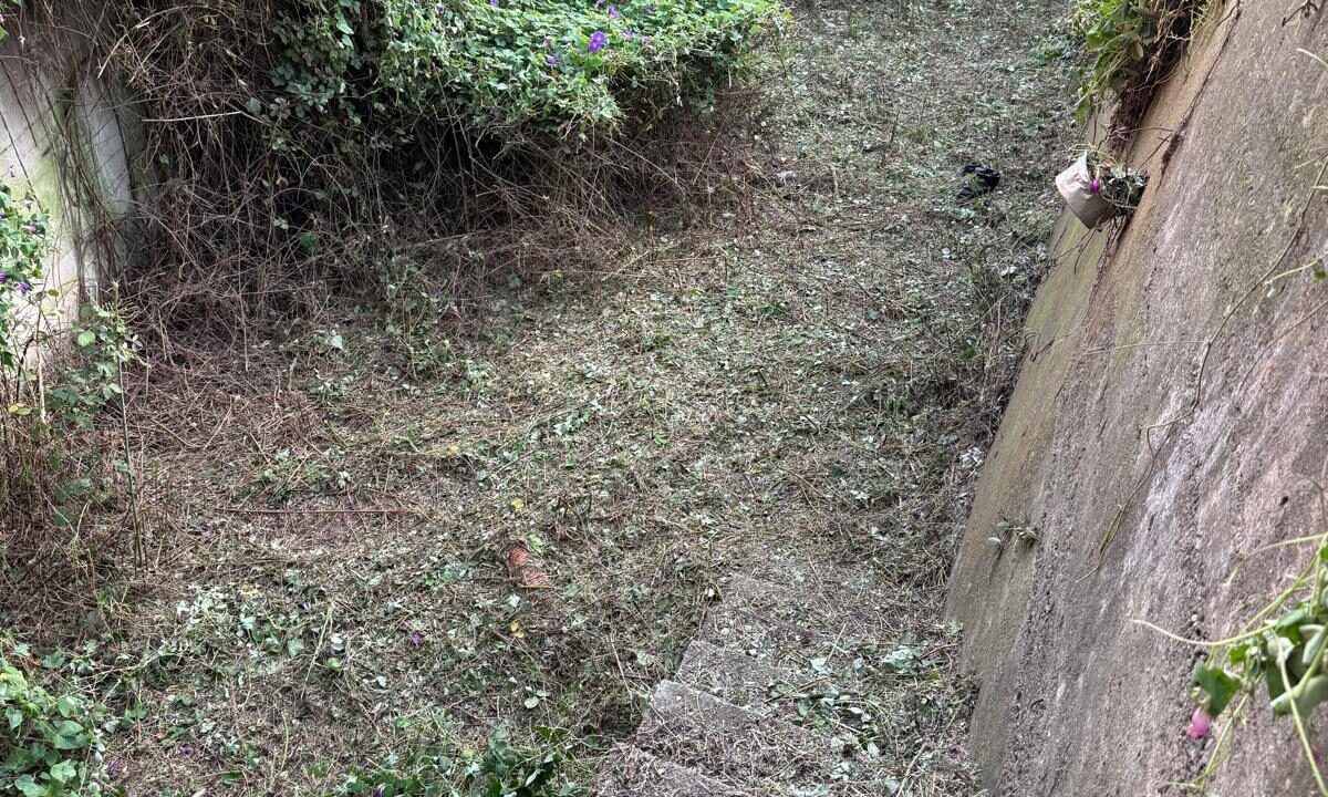 WhatsApp Image 2026-03-04 at 11.46.03 (1)