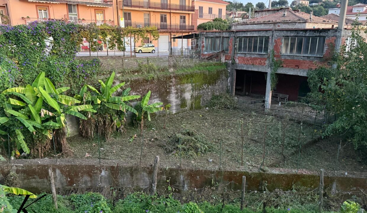 WhatsApp Image 2026-03-04 at 11.46.03