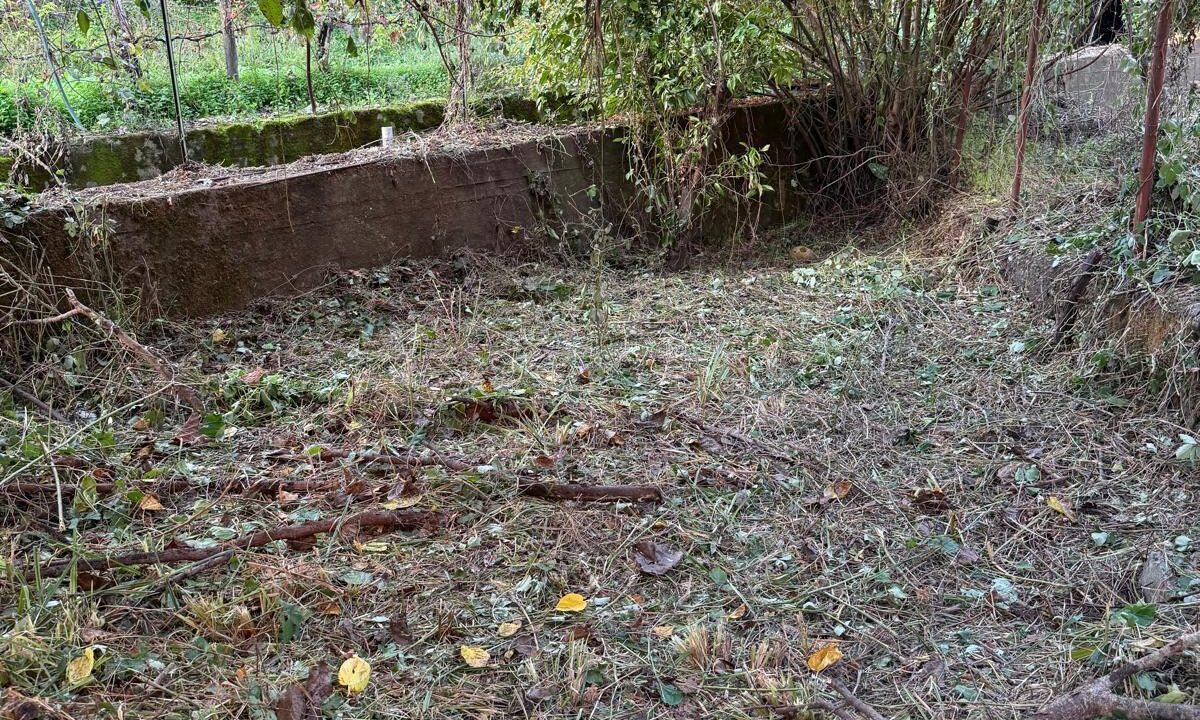 WhatsApp Image 2026-03-04 at 11.46.03 (2)