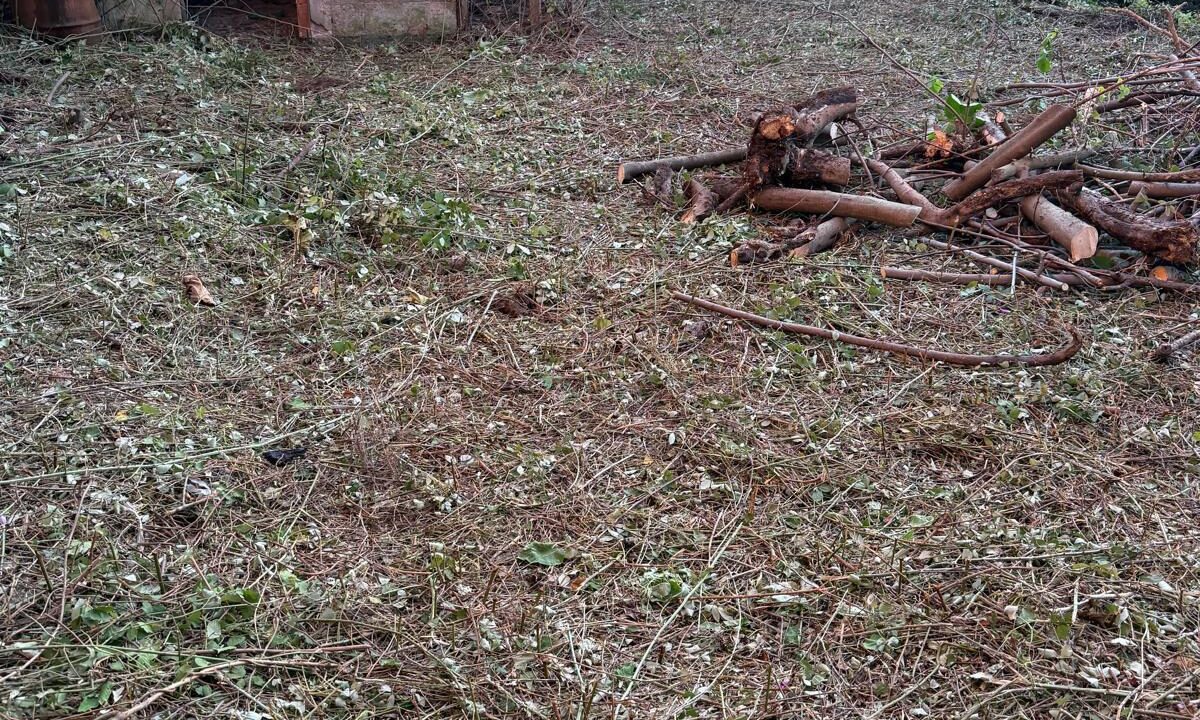 WhatsApp Image 2026-03-04 at 11.46.04 (1)