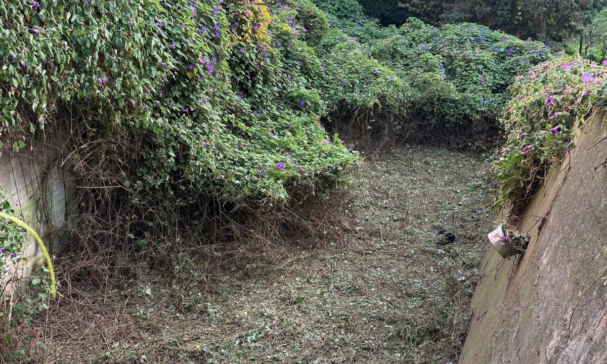 WhatsApp Image 2026-03-04 at 11.46.04 (2)