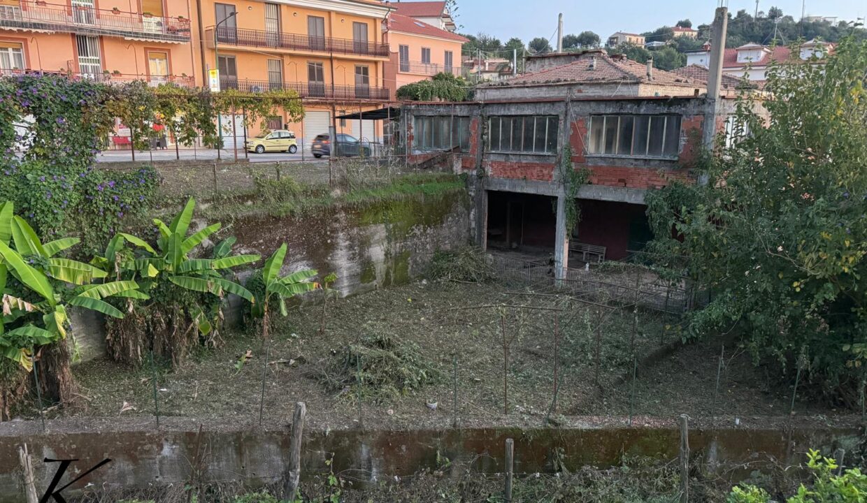 WhatsApp Image 2026-03-04 at 11.46.04 (3)