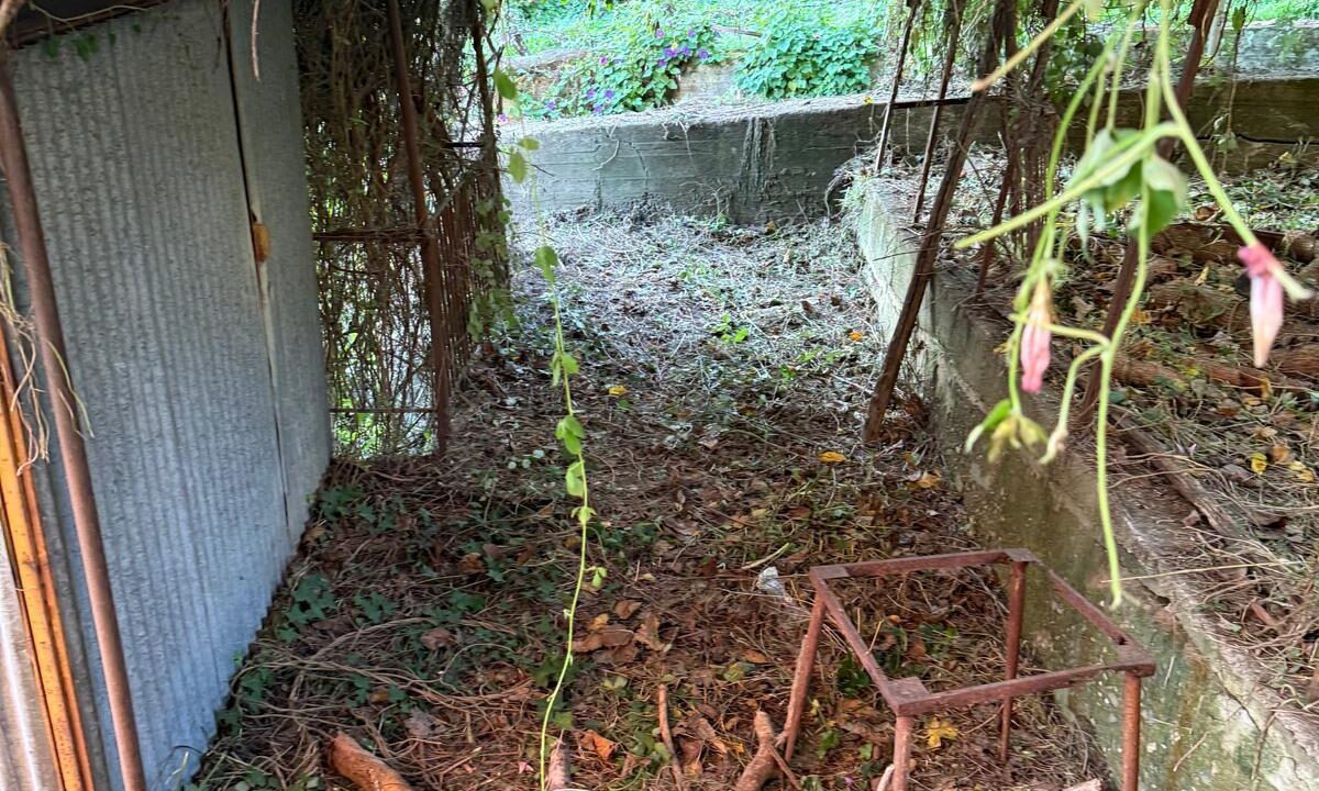 WhatsApp Image 2026-03-04 at 11.46.04 (4)