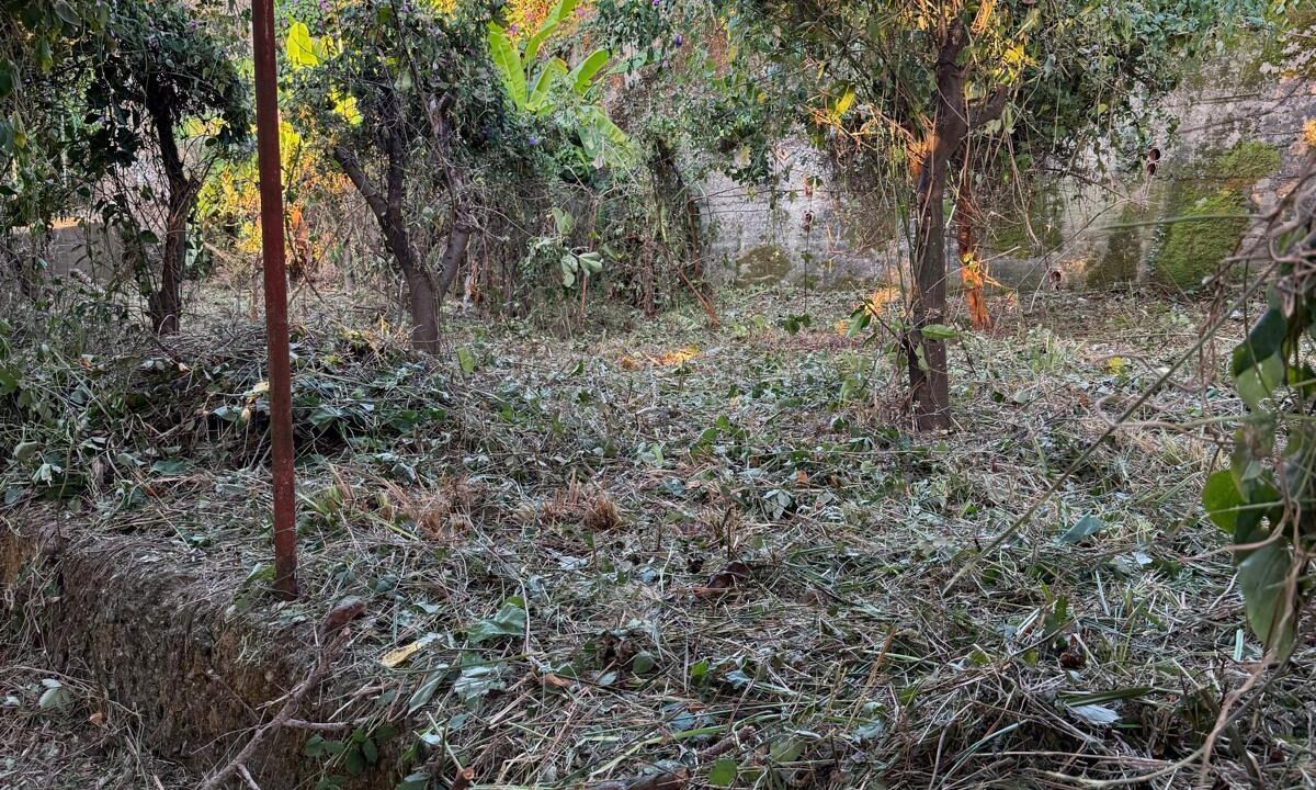 WhatsApp Image 2026-03-04 at 11.46.04 (5)