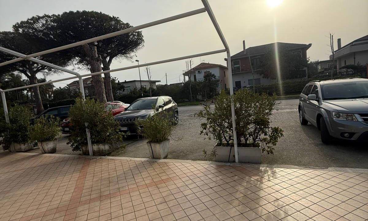 WhatsApp Image 2026-03-05 at 16.21.19 (1)