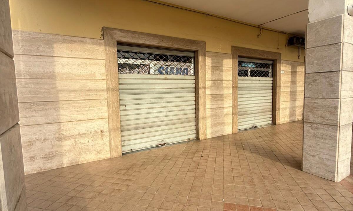 WhatsApp Image 2026-03-05 at 16.21.19