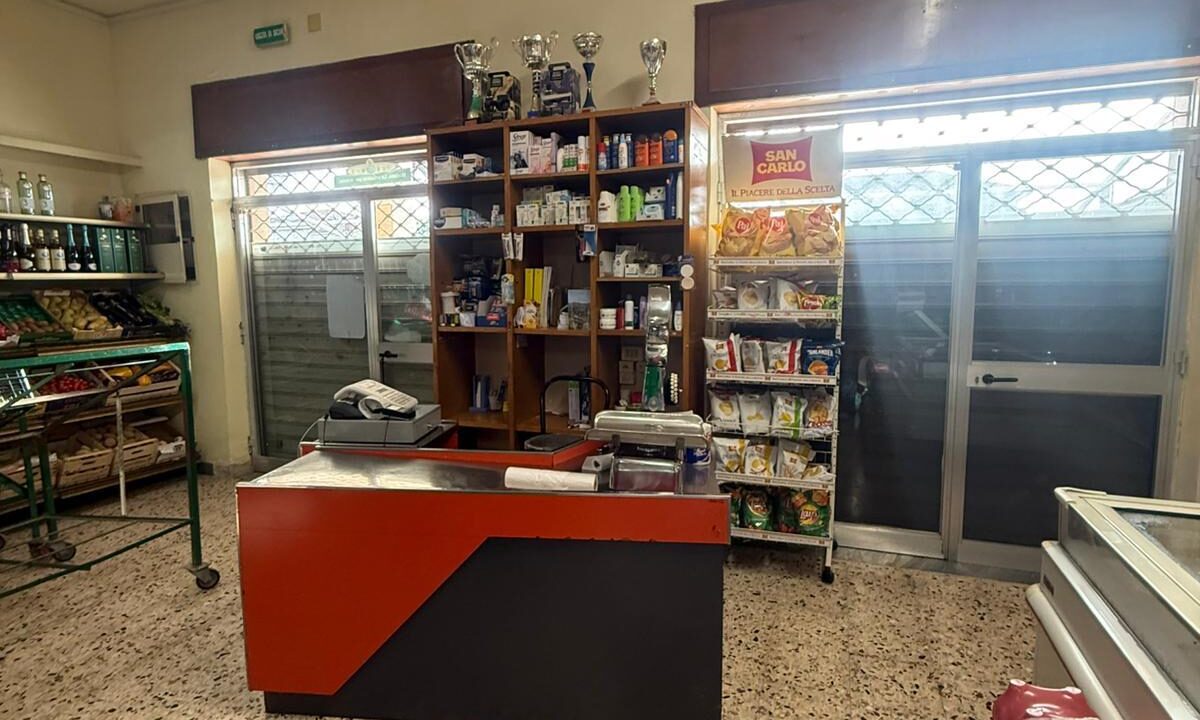 WhatsApp Image 2026-03-05 at 16.21.19 (7)