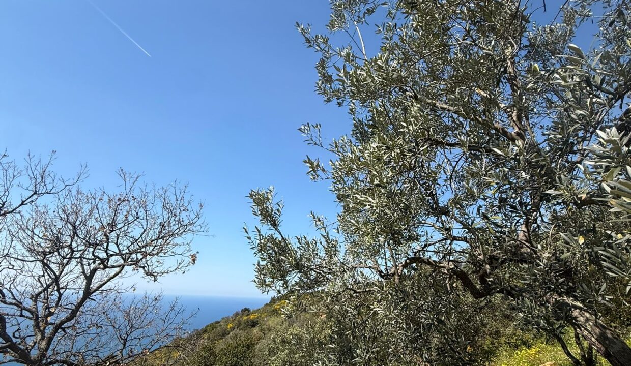 WhatsApp Image 2026-03-25 at 12.23.51 (1)