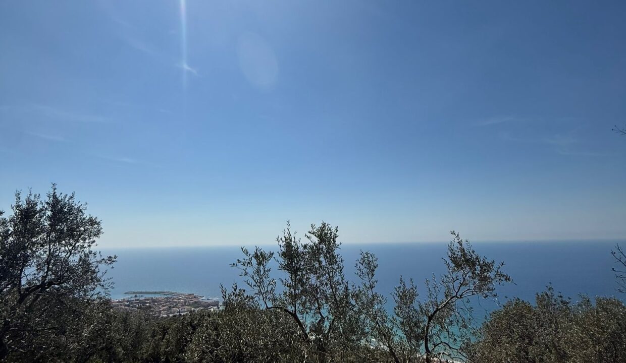 WhatsApp Image 2026-03-25 at 12.23.51