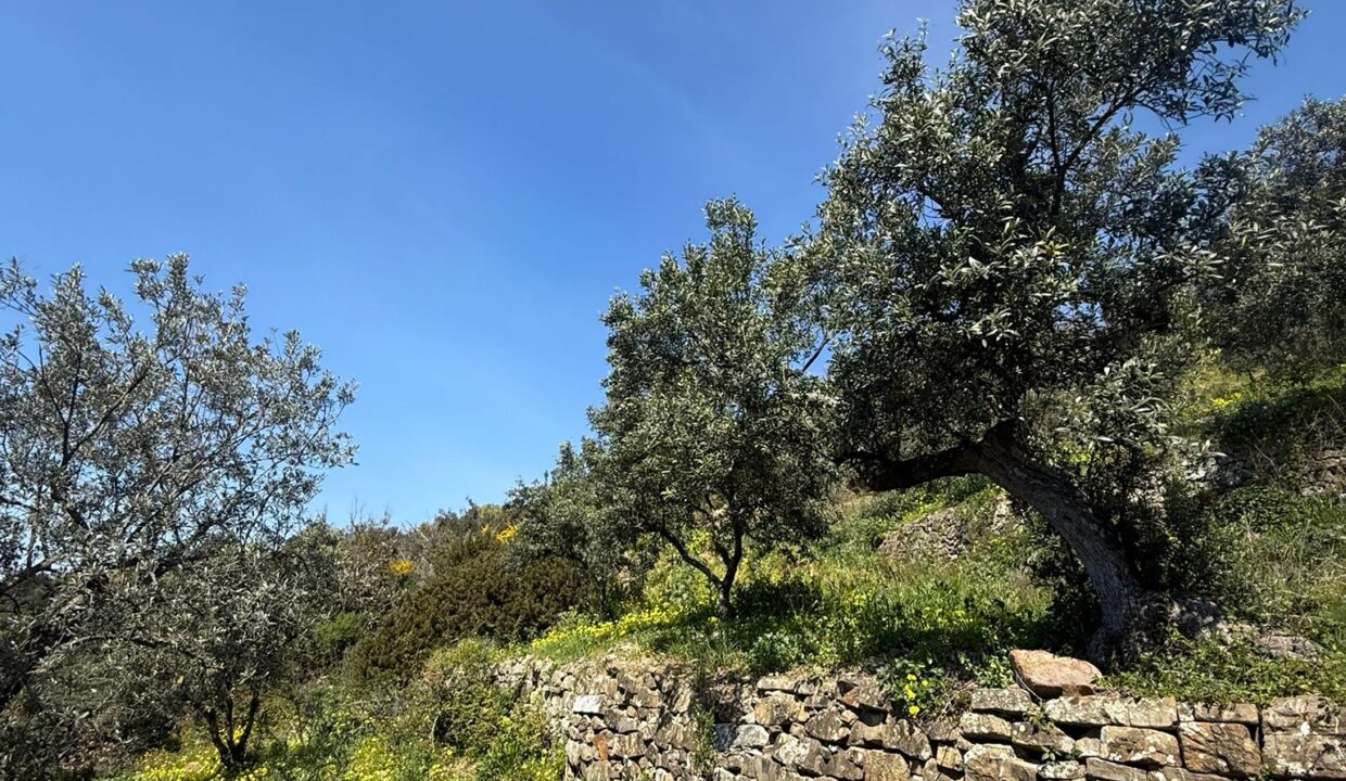 WhatsApp Image 2026-03-25 at 12.23.51 (2)