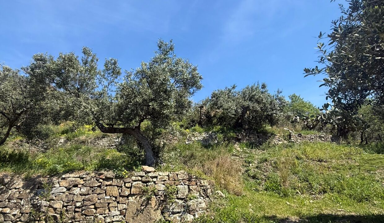 WhatsApp Image 2026-03-25 at 12.23.51 (3)