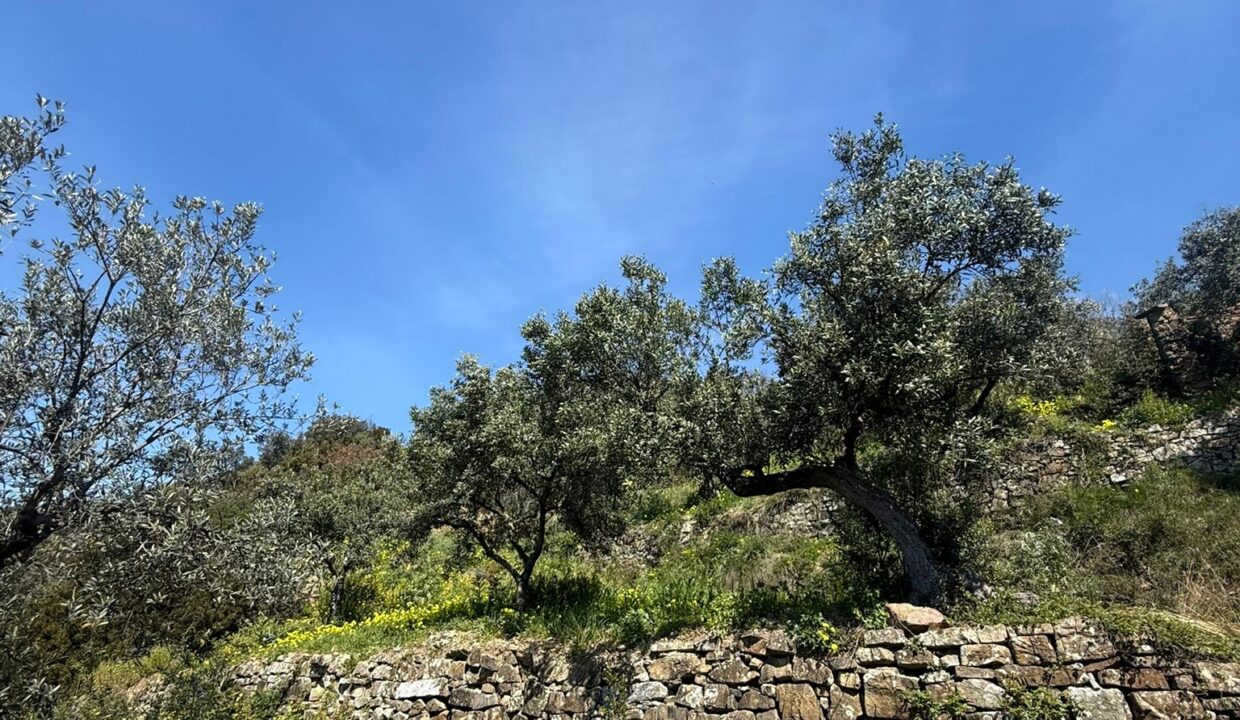 WhatsApp Image 2026-03-25 at 12.23.51 (4)