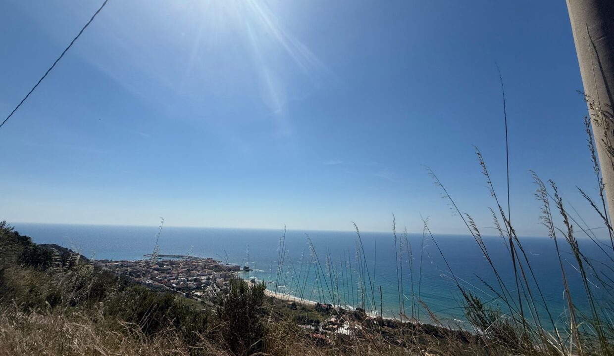 WhatsApp Image 2026-03-25 at 12.24.00