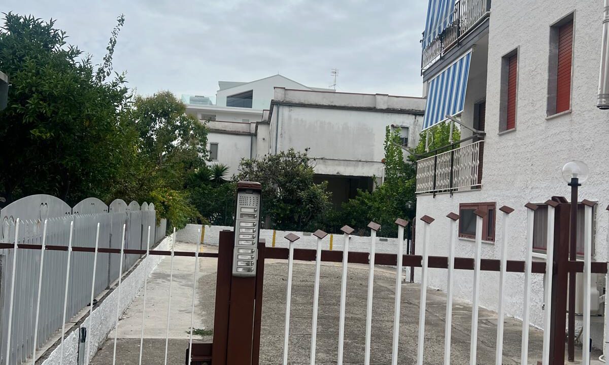 WhatsApp Image 2025-09-09 at 16.56.56 (1)