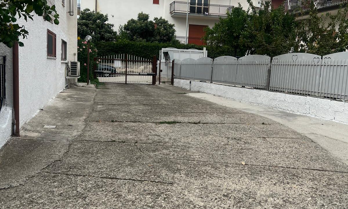 WhatsApp Image 2025-09-09 at 16.56.56