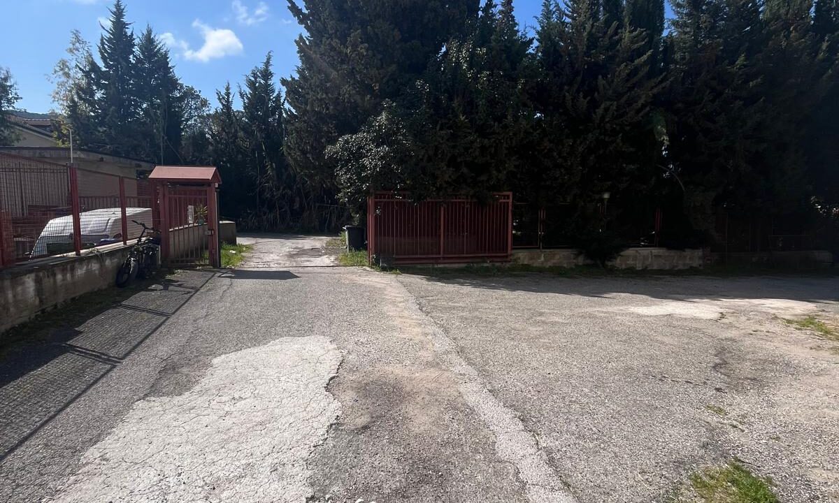 WhatsApp Image 2026-03-10 at 12.17.11 (5)