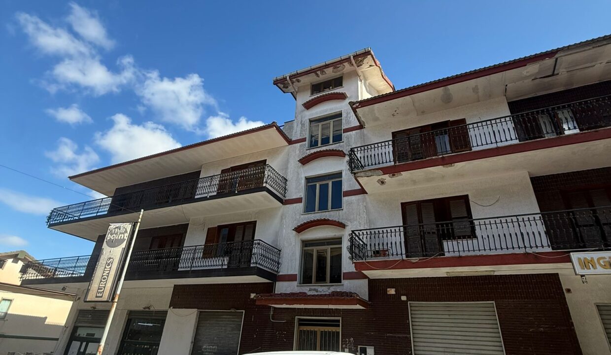 WhatsApp Image 2026-03-18 at 12.31.41 (5)