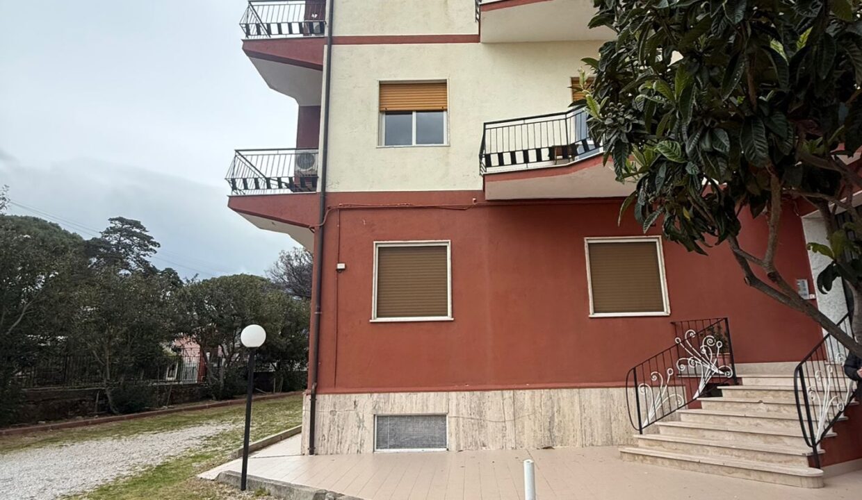 WhatsApp Image 2026-04-02 at 12.16.46