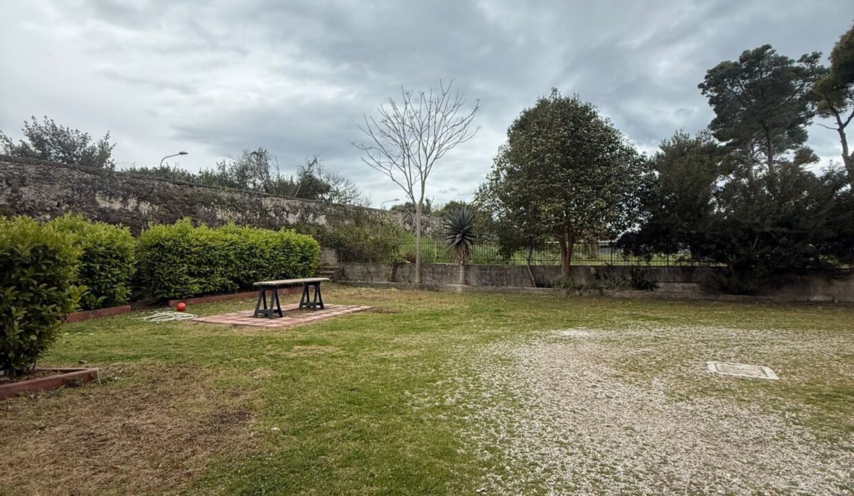 WhatsApp Image 2026-04-02 at 12.16.48 (2)