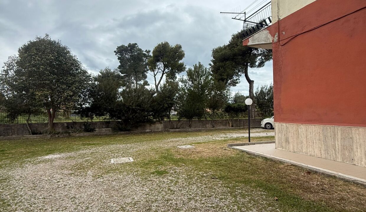 WhatsApp Image 2026-04-02 at 12.16.48 (3)