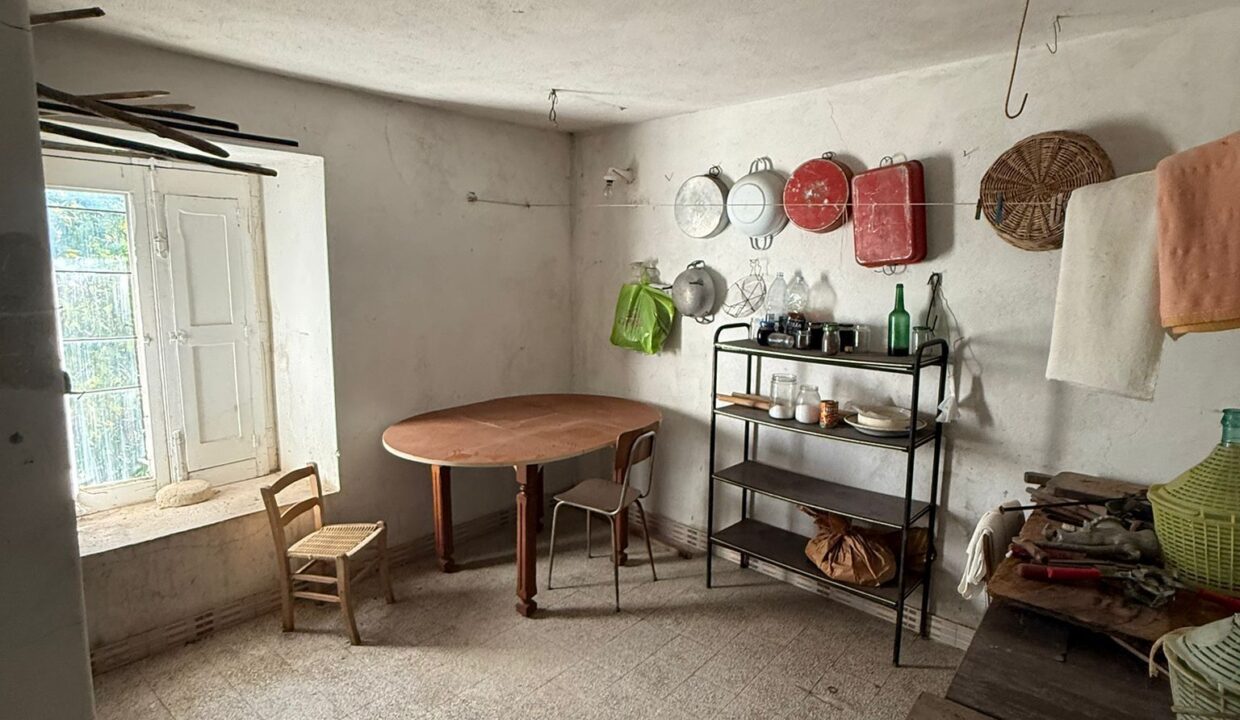 WhatsApp Image 2026-04-09 at 17.31.49 (5)