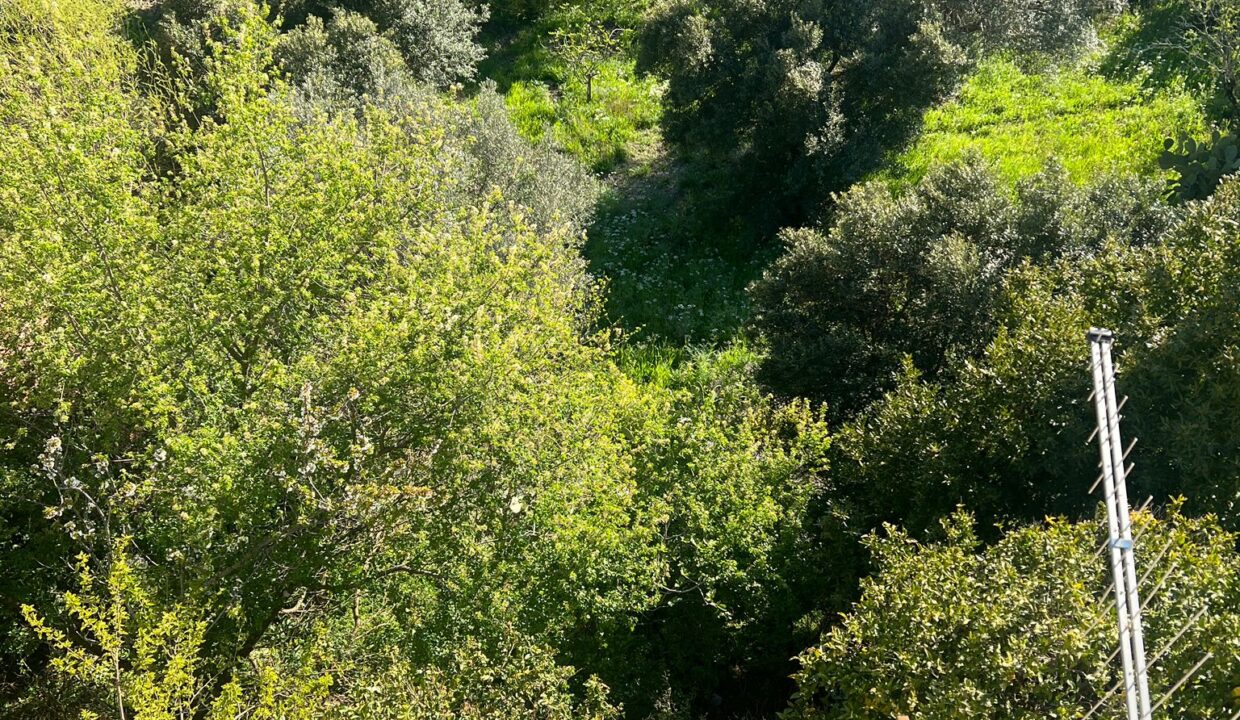 WhatsApp Image 2026-04-09 at 18.17.56 (4)