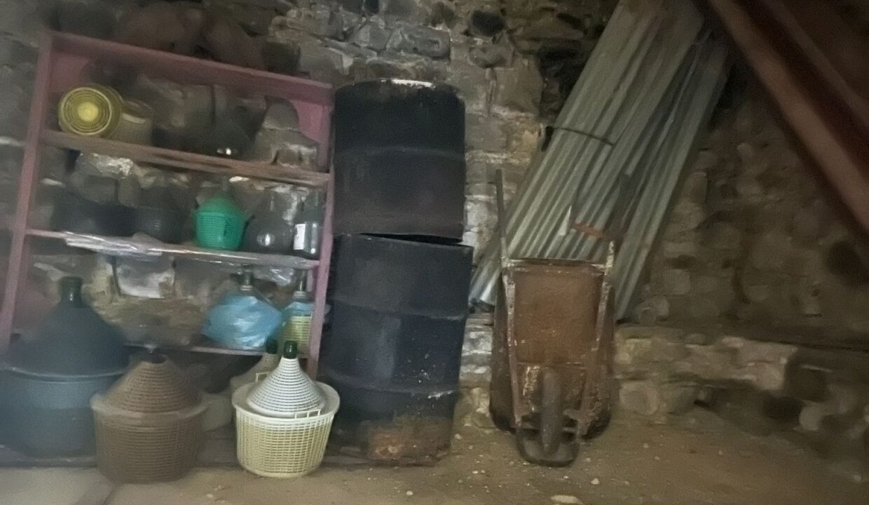 WhatsApp Image 2026-04-09 at 18.17.57 (2)