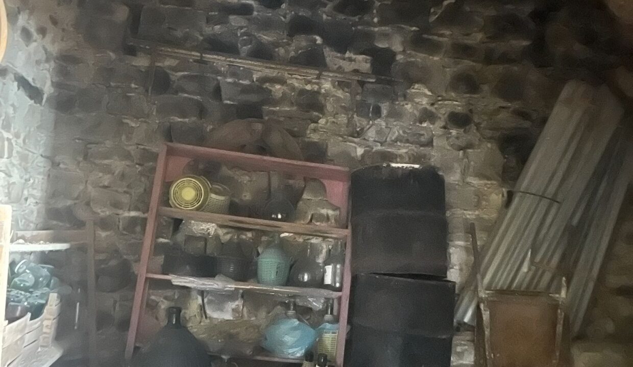 WhatsApp Image 2026-04-09 at 18.17.57 (3)