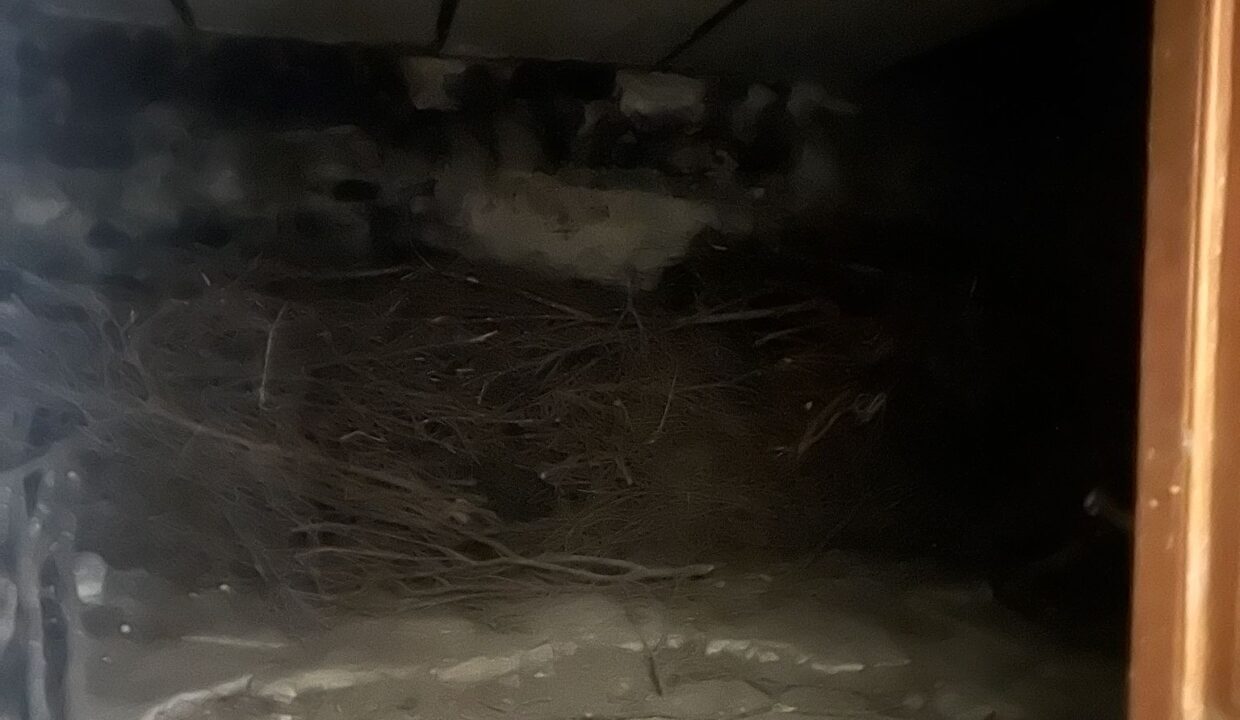 WhatsApp Image 2026-04-09 at 18.17.57 (4)