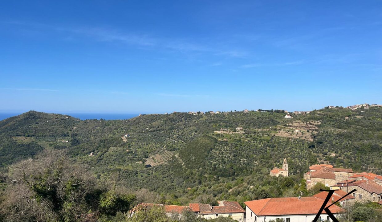 WhatsApp Image 2026-04-11 at 10.48.17 (1)