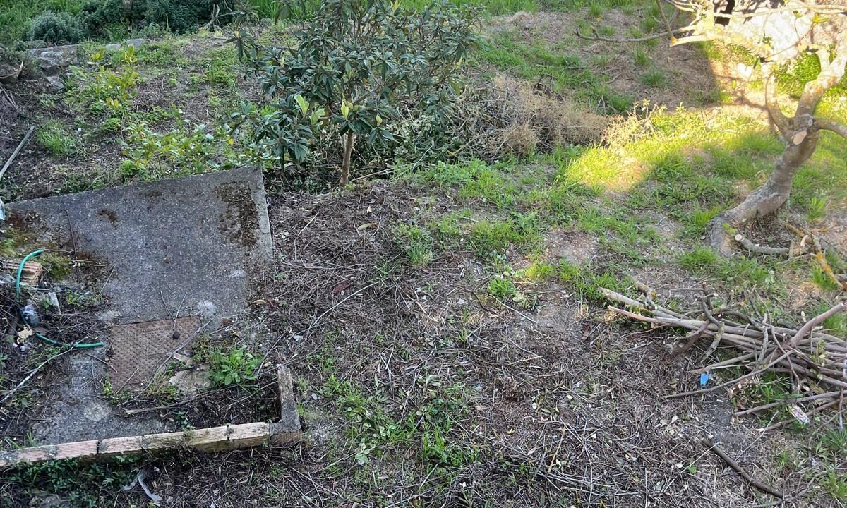 WhatsApp Image 2026-04-11 at 10.48.18 (10)