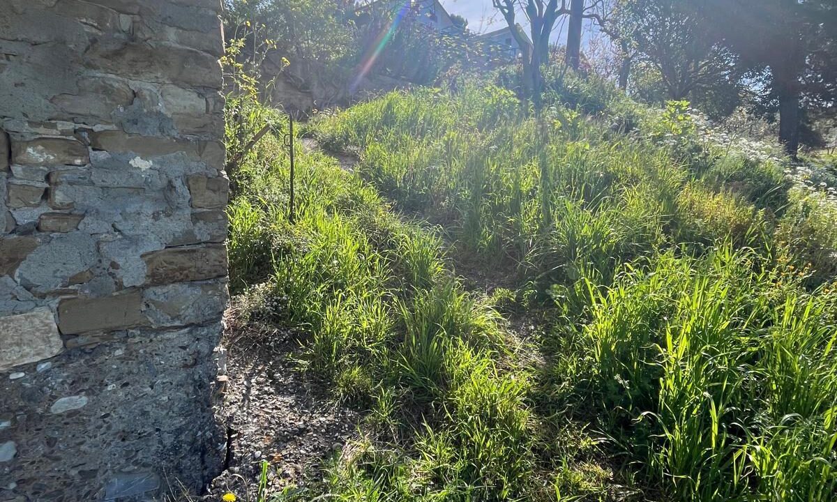 WhatsApp Image 2026-04-11 at 10.48.18 (9)