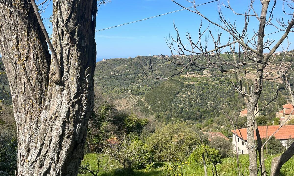 WhatsApp Image 2026-04-11 at 10.48.19 (4)