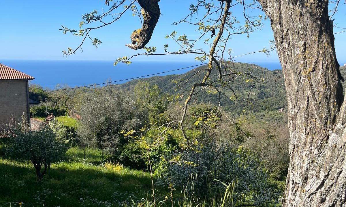 WhatsApp Image 2026-04-11 at 10.48.19 (6)