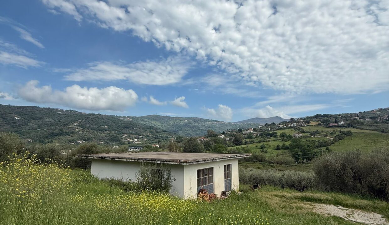 WhatsApp Image 2026-04-20 at 15.59.27 (1)