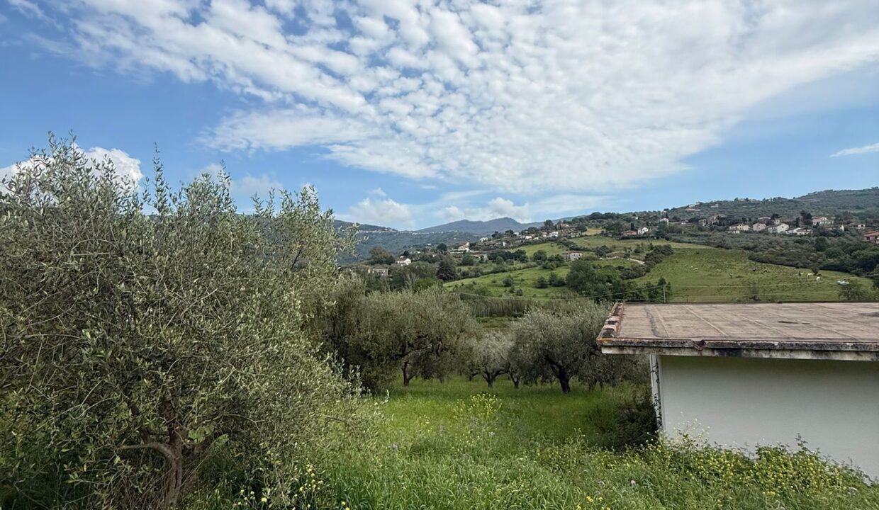 WhatsApp Image 2026-04-20 at 15.59.27