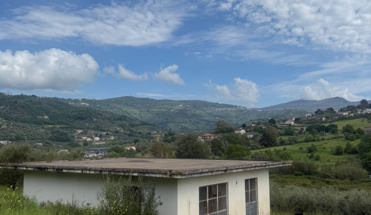 WhatsApp Image 2026-04-20 at 15.59.27 (2)